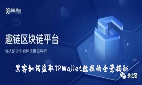 黑客如何盗取TPWallet数据的全景揭秘