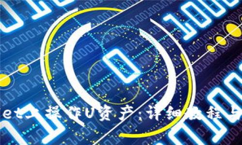 如何在TPWallet上操作U资产：详细教程与常见问题解答