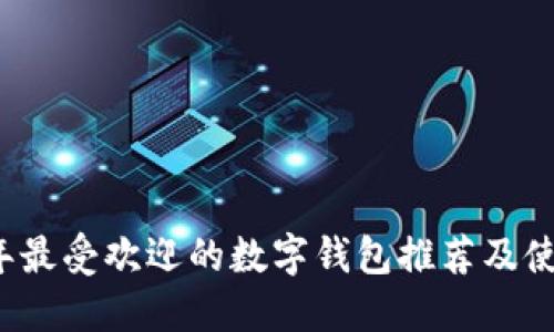 2023年最受欢迎的数字钱包推荐及使用指南