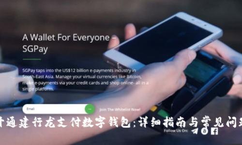 如何开通建行龙支付数字钱包：详细指南与常见问题解答