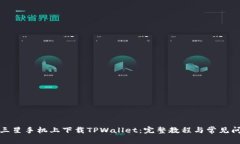 如何在三星手机上下载TPWallet：完整教程与常见问