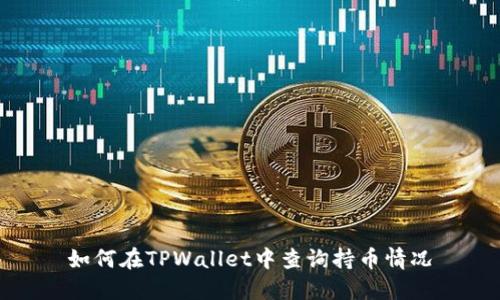 如何在TPWallet中查询持币情况