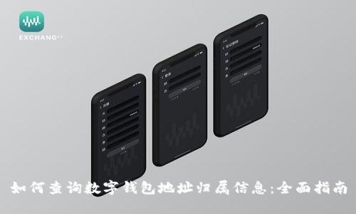 如何查询数字钱包地址归属信息：全面指南