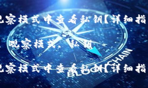 如何在TPWallet观察模式中查看私钥？详细指南与常见问题解答

关键词：TPWallet, 观察模式, 私钥

如何在TPWallet观察模式中查看私钥？详细指南与常见问题解答