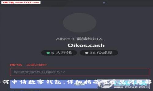 如何申请数字钱包：详细指南与常见问题解答