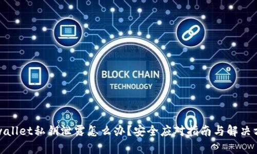 tpwallet私钥泄露怎么办？安全应对指南与解决方案