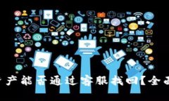 TP Wallet丢失资产能否通过