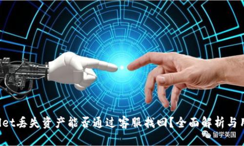TP Wallet丢失资产能否通过客服找回？全面解析与用户指南