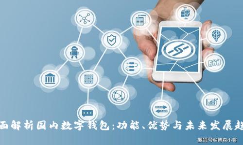 全面解析国内数字钱包：功能、优势与未来发展趋势