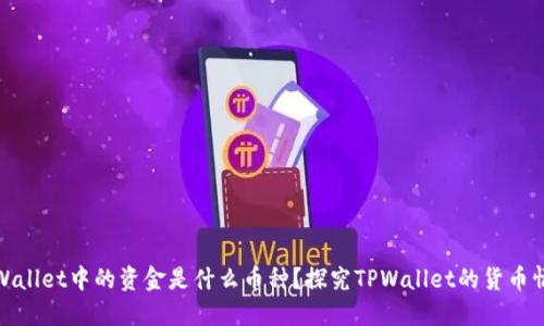 TPWallet中的资金是什么币种？探究TPWallet的货币情况