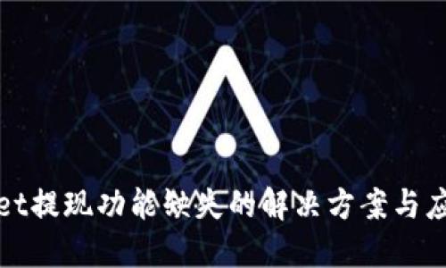 TPWallet提现功能缺失的解决方案与应对策略