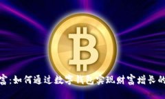 数字钱包暴富：如何通过