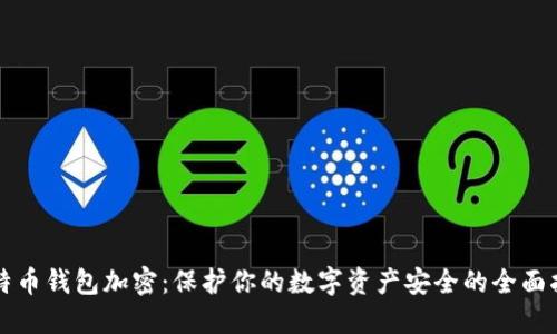 比特币钱包加密：保护你的数字资产安全的全面指南