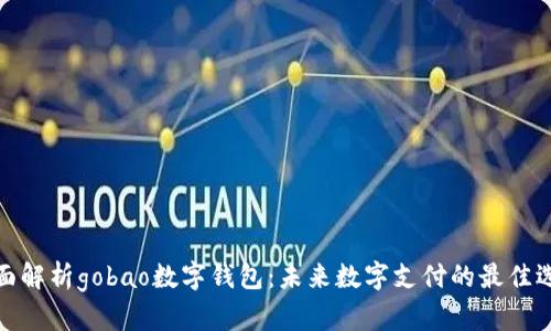 全面解析gobao数字钱包：未来数字支付的最佳选择