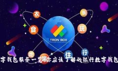 国内银行数字钱包服务一