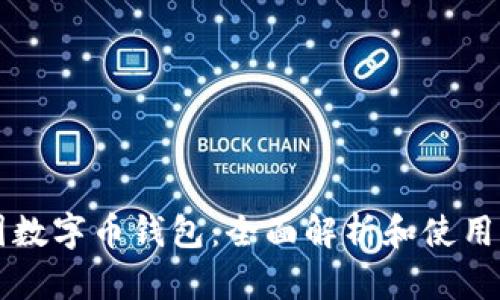 中国数字币钱包：全面解析和使用指南