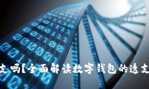 数字钱包能透支吗？全面解读数字钱包的透支功能与安全性