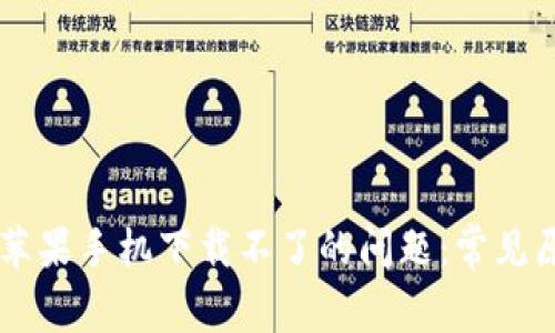 解决TPWallet苹果手机下载不了的问题：常见原因与解决方案