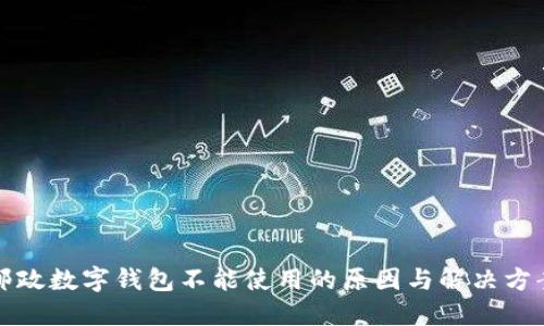 邮政数字钱包不能使用的原因与解决方案
