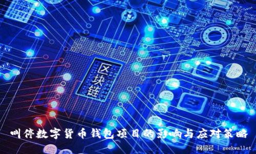 叫停数字货币钱包项目的影响与应对策略
