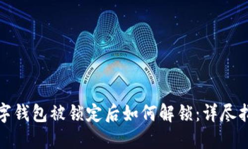 数字钱包被锁定后如何解锁：详尽指南