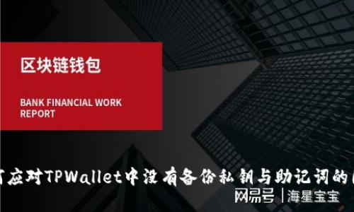如何应对TPWallet中没有备份私钥与助记词的困扰