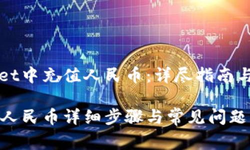 如何在TPWallet中充值人民币：详尽指南与常见问题解答

TPWallet充值人民币详细步骤与常见问题解答