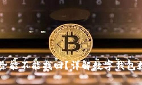 TPWallet删除能不能找回？详解数字钱包数据恢复方法