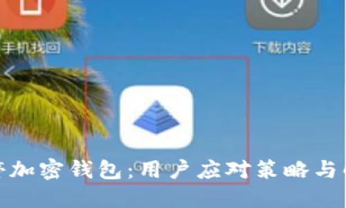 推特暂停加密钱包：用户应对策略与解决方案