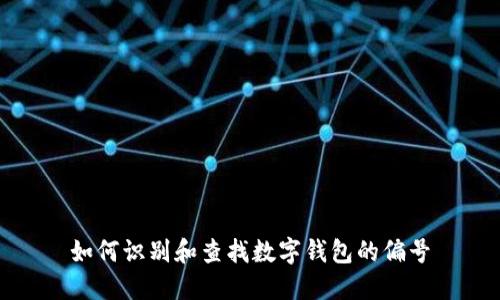 如何识别和查找数字钱包的偏号