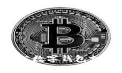 如何开通对公数字钱包支
