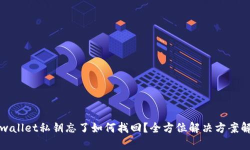 tpwallet私钥忘了如何找回？全方位解决方案解析