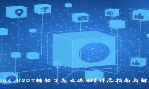 TPWallet USDT转错了怎么退回？详尽指南与解决方案