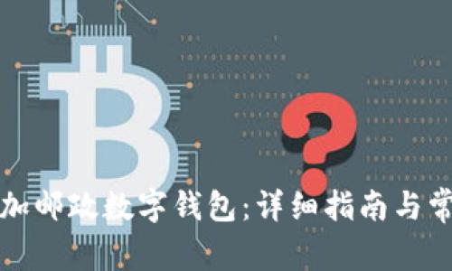 如何快速添加邮政数字钱包：详细指南与常见问题解答