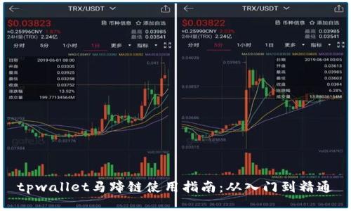 tpwallet马蹄链使用指南：从入门到精通