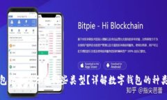 数字钱包按载体分为哪些