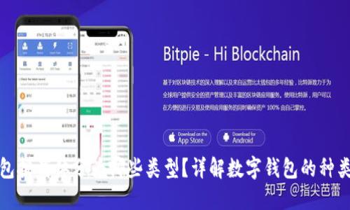 数字钱包按载体分为哪些类型？详解数字钱包的种类与特点