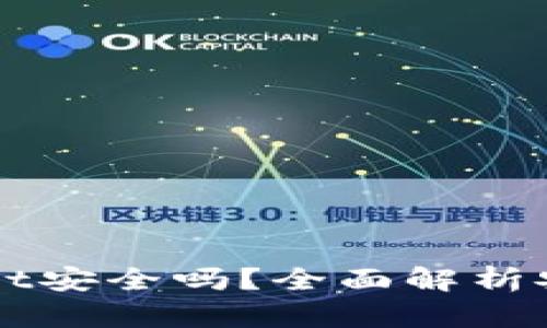 官方下载TPWallet安全吗？全面解析安全性与使用技巧