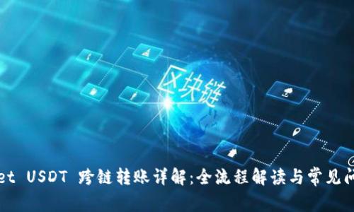 TPWallet USDT 跨链转账详解：全流程解读与常见问题解答
