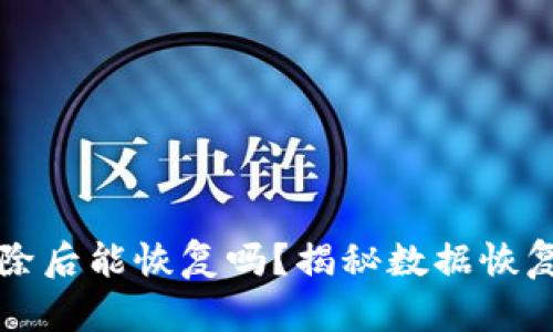 TPWallet被删除后能恢复吗？揭秘数据恢复的方法与建议