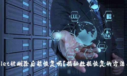 TPWallet被删除后能恢复吗？揭秘数据恢复的方法与建议