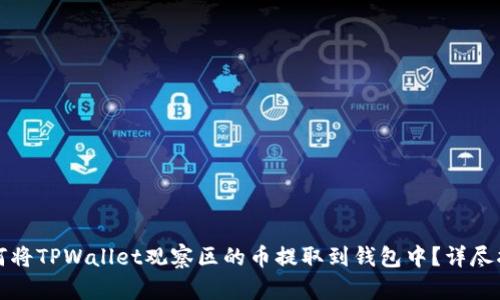 如何将TPWallet观察区的币提取到钱包中？详尽指南