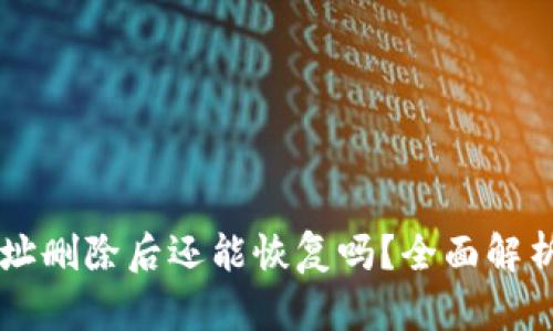 TPWallet地址删除后还能恢复吗？全面解析与解决方案