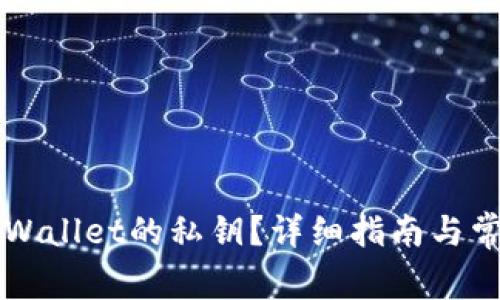如何找到TPWallet的私钥？详细指南与常见问题解析