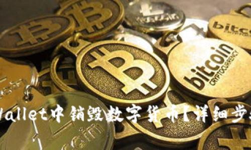 Title: 如何在TPWallet中销毁数字货币？详细步骤和注意事项解析