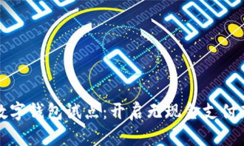 深圳数字钱包试点：开启无现金支付新时代