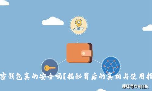 加密钱包真的安全吗？揭秘背后的真相与使用指南