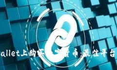 如何在TPWallet上购买数字货