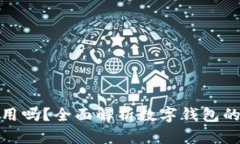 数字钱包全国通用吗？全