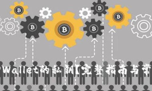 如何找回TPWallet的私钥？完整指南与常见问题解答